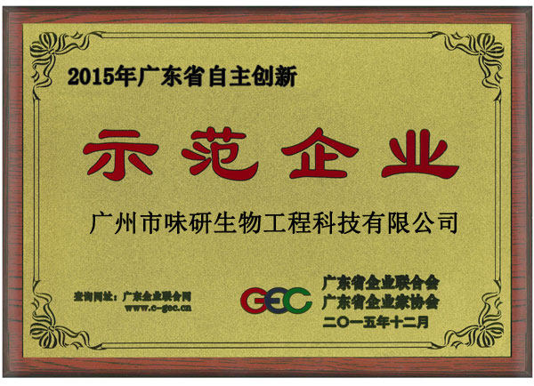 2015年广东省自主创新示范企业